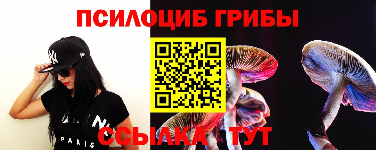 Галлюциногенные грибы ЛСД  Псилоцибиновые грибы Cubensis  Вход с VPN  Камышин 